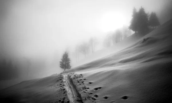 Inverno em Soriska Planina — Fotografia de Stock