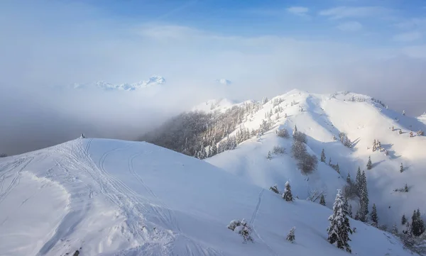 Winter op Soriska Planina — Stockfoto