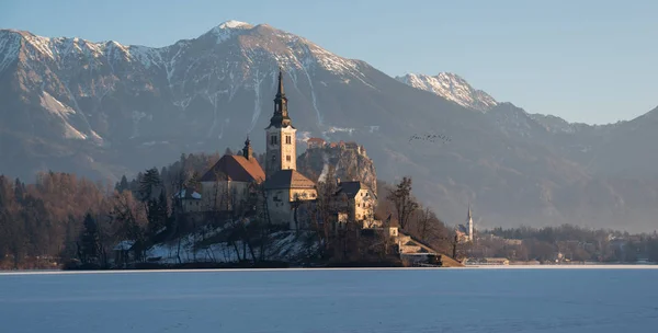 Manhã de inverno no lago congelado Bled — Fotografia de Stock