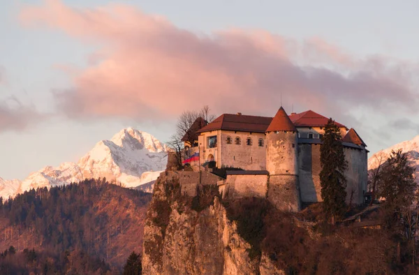 Bled castle при сходом сонця — стокове фото