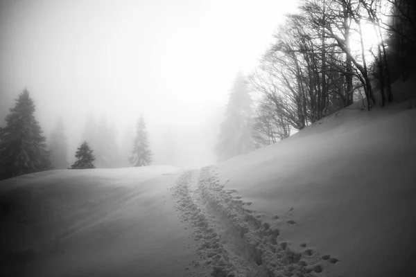 Soriska バルカン山脈で冬 — ストック写真