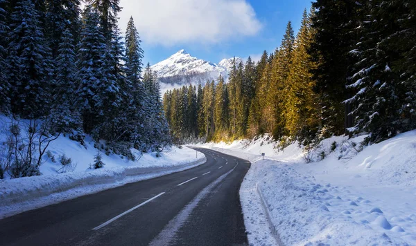 Pokljuka で冬の森を通る道路 — ストック写真