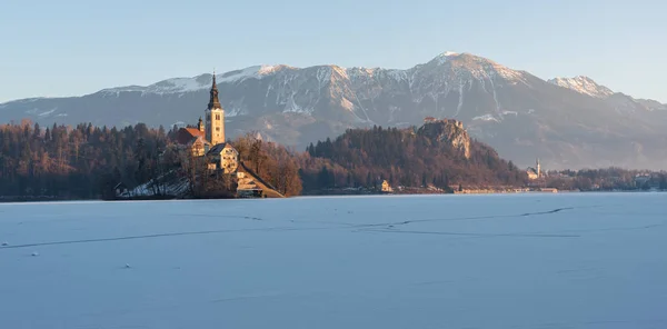 Kış sabah donmuş lake Bled — Stok fotoğraf