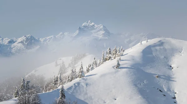 Invierno en Soriska Planina — Foto de Stock