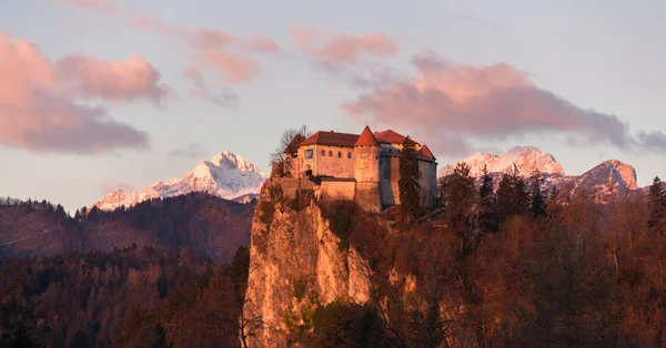 Bled castle при сходом сонця — стокове фото