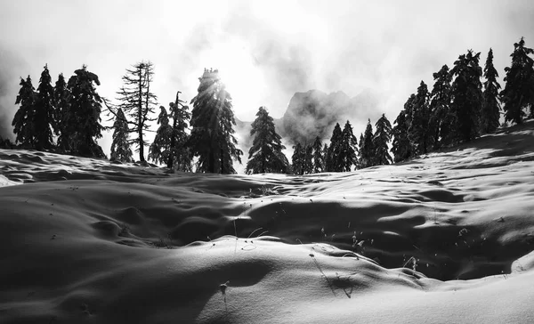 神秘的な冬の風景 — ストック写真