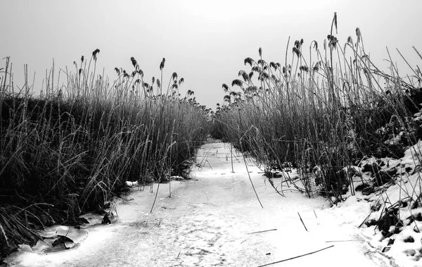 Nascer do sol no campo de inverno — Fotografia de Stock