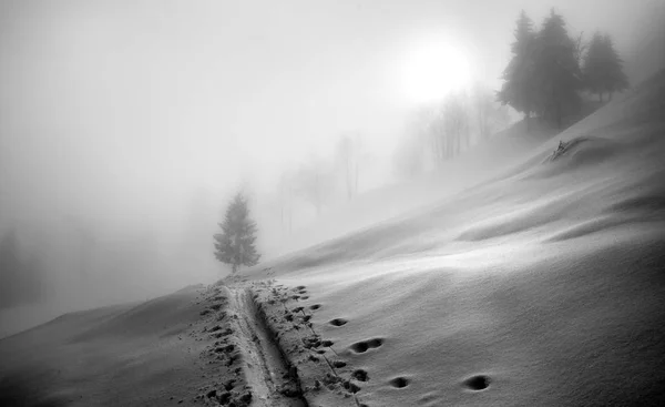 Inverno em Soriska Planina — Fotografia de Stock