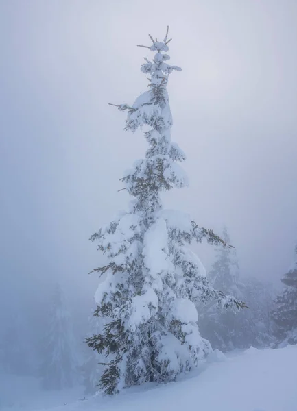 Soriska バルカン山脈で冬 — ストック写真