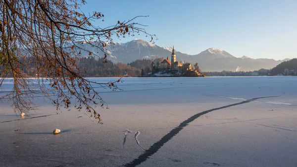 Kış sabah donmuş lake Bled — Stok fotoğraf