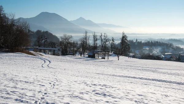 Hermoso campo en una mañana de invierno — Foto de Stock