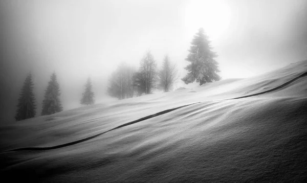 Winter auf soriska planina — Stockfoto