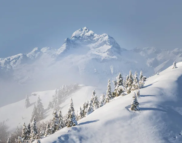 Winter op Soriska Planina — Stockfoto