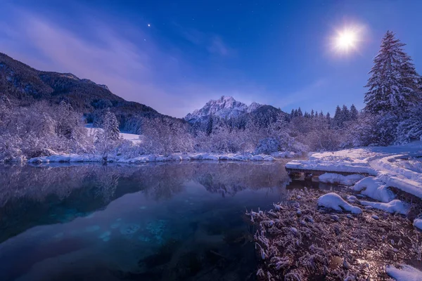 在 Zelenci 春天日出 — 图库照片