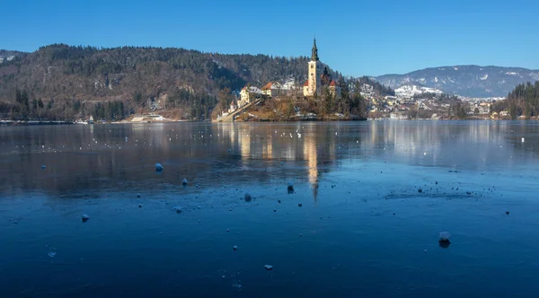 Hermoso lago Bled en invierno con el lago congelado — Foto de Stock