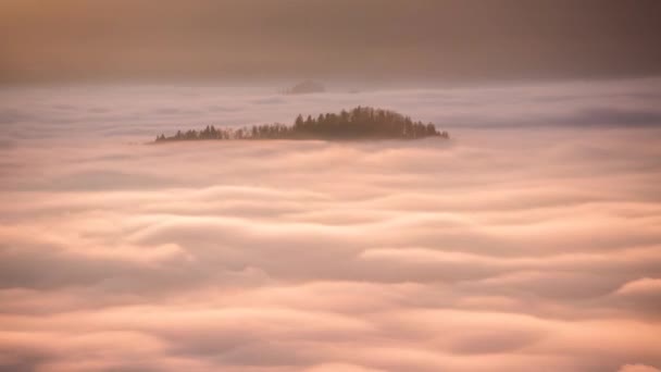 Nebbia alba nella valle — Video Stock