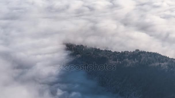 Brouillard roulant dans les collines — Video