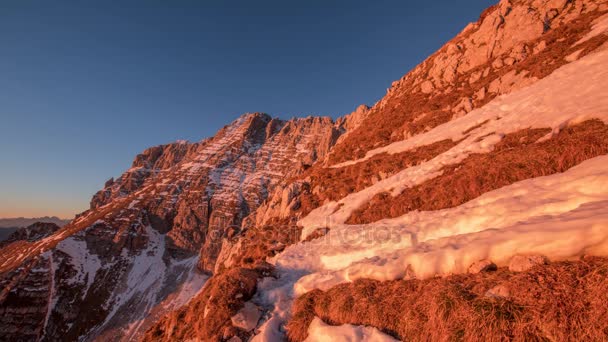 Íbice alpino en las montañas al atardecer — Vídeo de stock