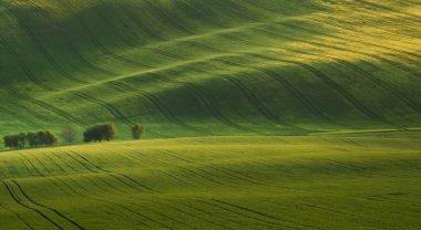 South Moravia'deki / peyzaj 