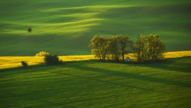South Moravia'deki / peyzaj 