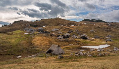Velika Planina meadow