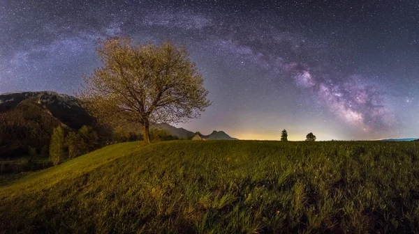 Calea Lactee și copaci — Fotografie, imagine de stoc