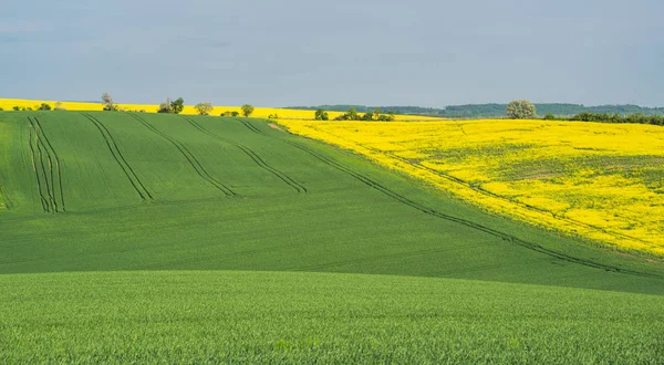 South Moravia landskap — Stockfoto