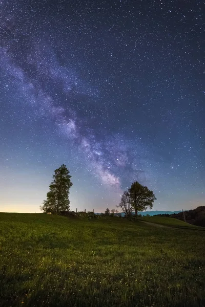 Vía Láctea y árboles — Foto de Stock