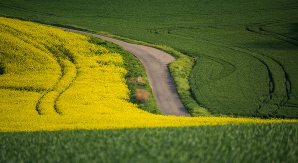 Morávia do Sul paisagem — Fotografia de Stock