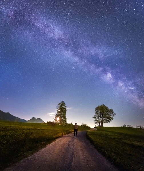 Samanyolu ve ağaçlar — Stok fotoğraf