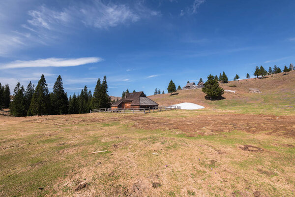 Velika Planina meadow