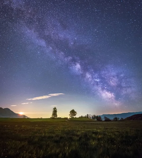 Calea Lactee și copaci — Fotografie, imagine de stoc