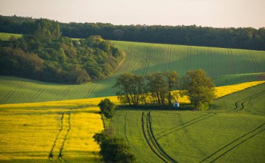 South Moravia'deki / peyzaj