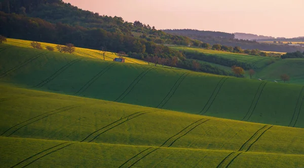 Zuid-Moravië landschap — Stockfoto