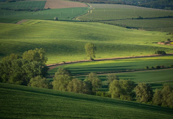 South Moravia landskap — Stockfoto