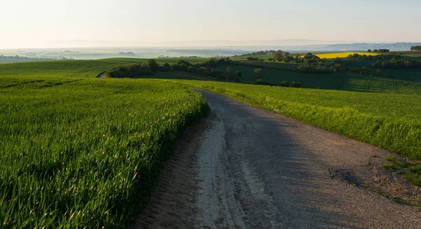 South Moravia'deki / peyzaj