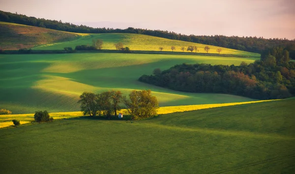 South Moravia landskap — Stockfoto