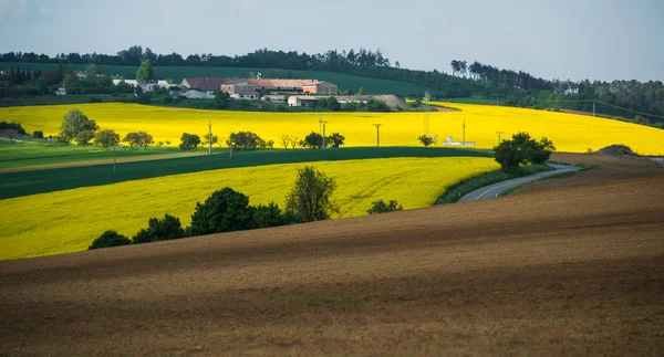 South Moravia landskap — Stockfoto