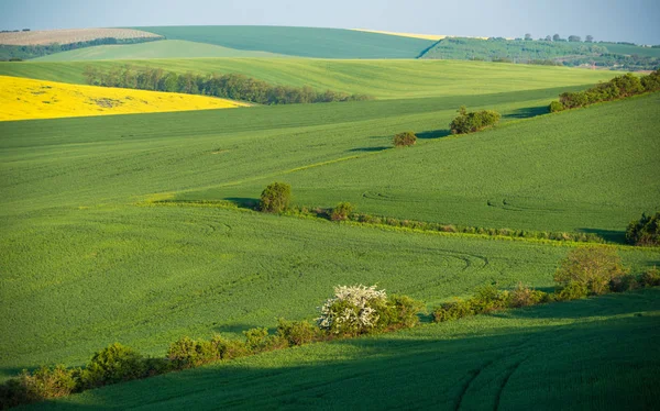 South Moravia landskap — Stockfoto