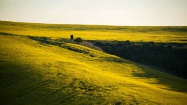 South Moravia'deki / peyzaj