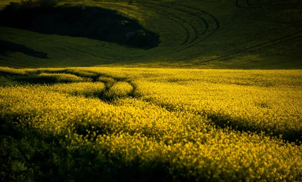 South Moravia landskap — Stockfoto