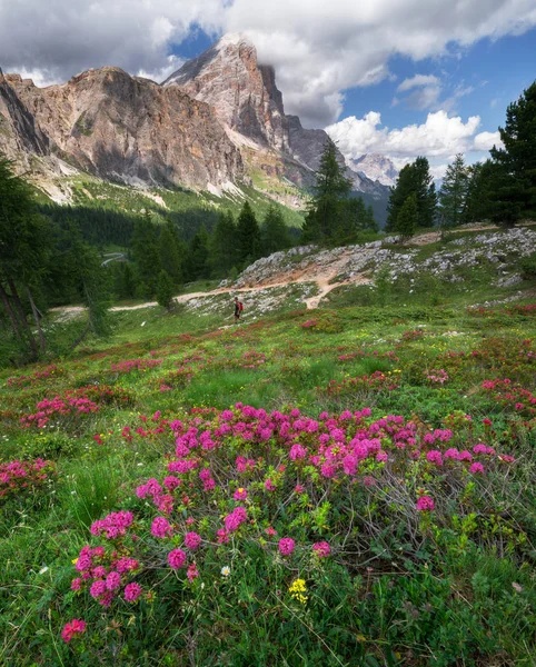 Wandelaar verkennen van het landschap van de Dolomieten — Stockfoto