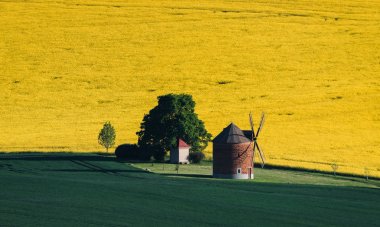 Rüzgar değirmeni South Moravia'deki / peyzaj
