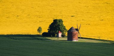 Rüzgar değirmeni South Moravia'deki / peyzaj