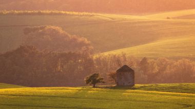 Rüzgar değirmeni South Moravia'deki / peyzaj