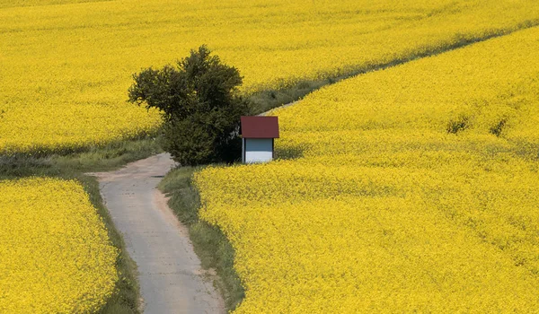 Road somewhere in South Moravia — Stock Photo, Image