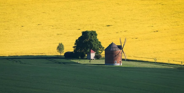 Moulin à vent en Moravie du Sud paysage — Photo