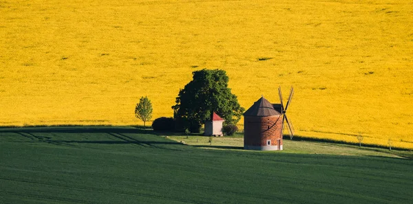 Molino de viento en Moravia del Sur paisaje — Foto de Stock