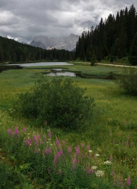  Dolomites dağlarda sayısı