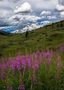 Dolomites dağlarda sayısı